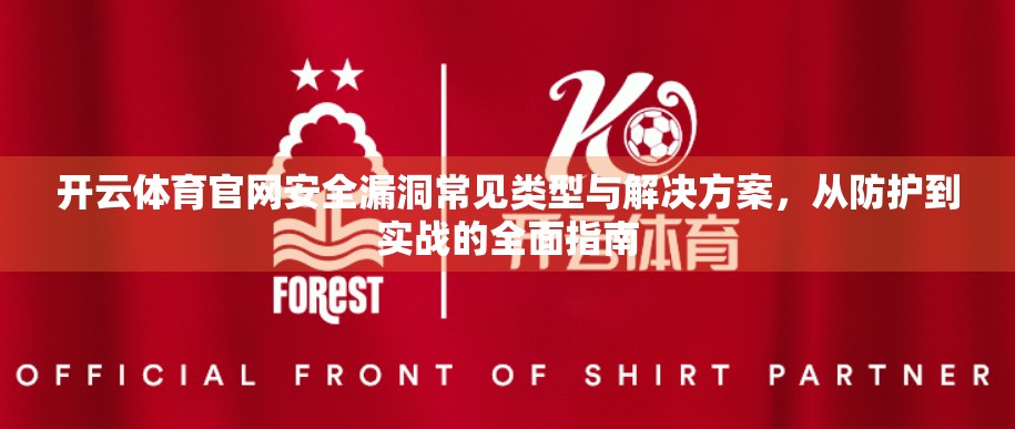 开云体育官网安全漏洞常见类型与解决方案，从防护到实战的全面指南