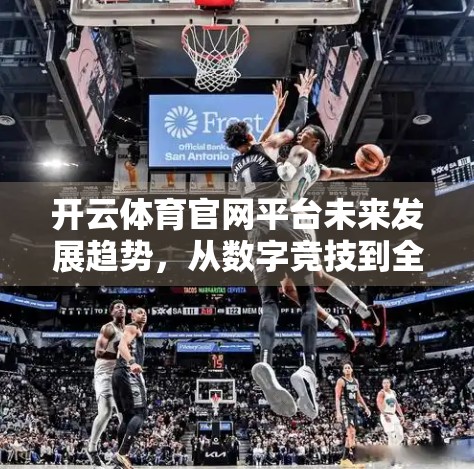 开云体育官网平台未来发展趋势，从数字竞技到全民参与的变革之路