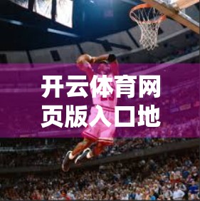 开云体育网页版入口地址选择及使用技巧全解析，新手也能秒变老司机！