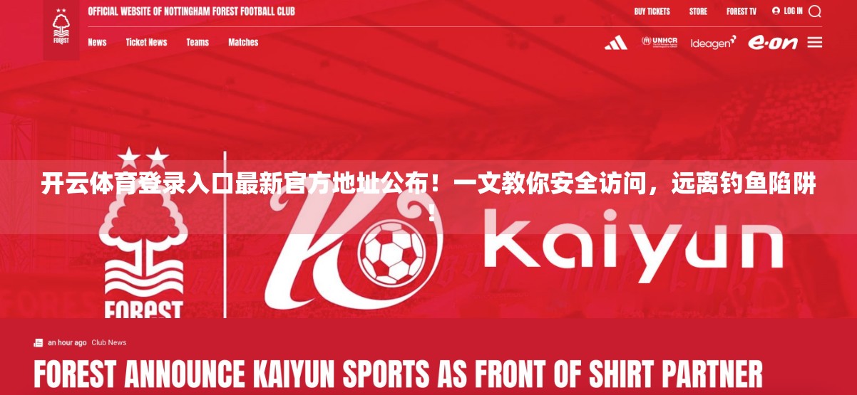 开云体育登录入口最新官方地址公布！一文教你安全访问，远离钓鱼陷阱！