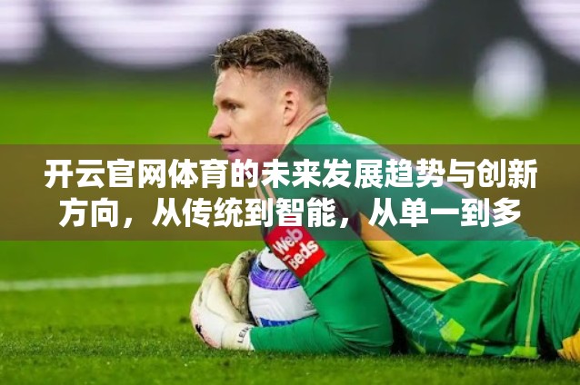 开云官网体育的未来发展趋势与创新方向，从传统到智能，从单一到多元的破局之路