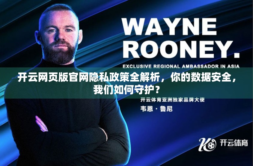 开云网页版官网隐私政策全解析，你的数据安全，我们如何守护？