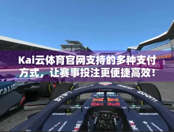 Kai云体育官网支持的多种支付方式，让赛事投注更便捷高效！