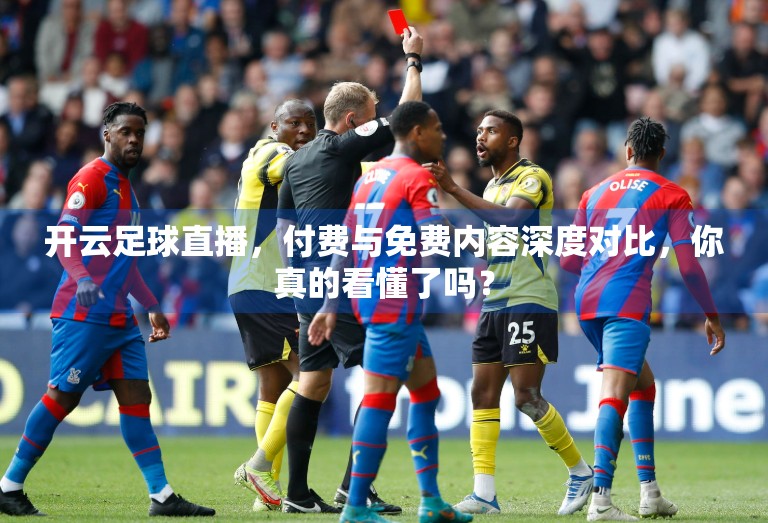 开云足球直播，付费与免费内容深度对比，你真的看懂了吗？