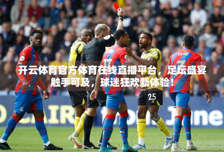 开云体育官方体育在线直播平台，足坛盛宴触手可及，球迷狂欢新体验！