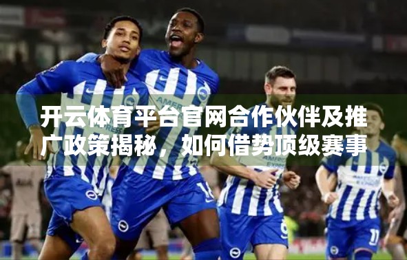 开云体育平台官网合作伙伴及推广政策揭秘，如何借势顶级赛事，实现流量与收益双赢？