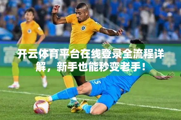 开云体育平台在线登录全流程详解，新手也能秒变老手！