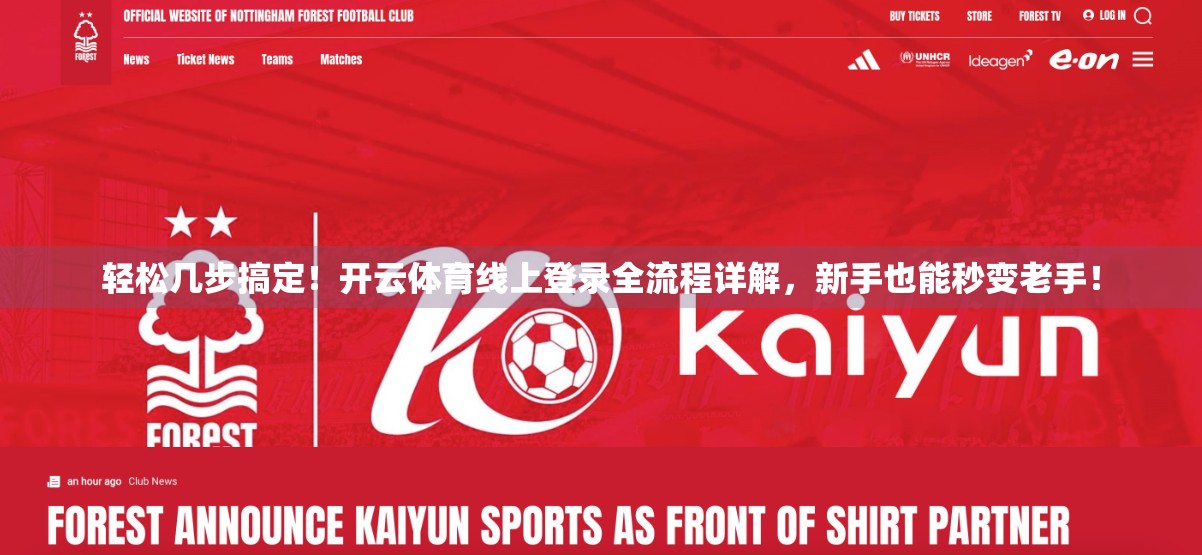 轻松几步搞定！开云体育线上登录全流程详解，新手也能秒变老手！