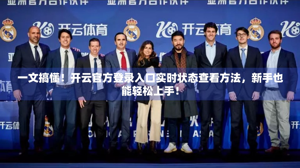 一文搞懂！开云官方登录入口实时状态查看方法，新手也能轻松上手！
