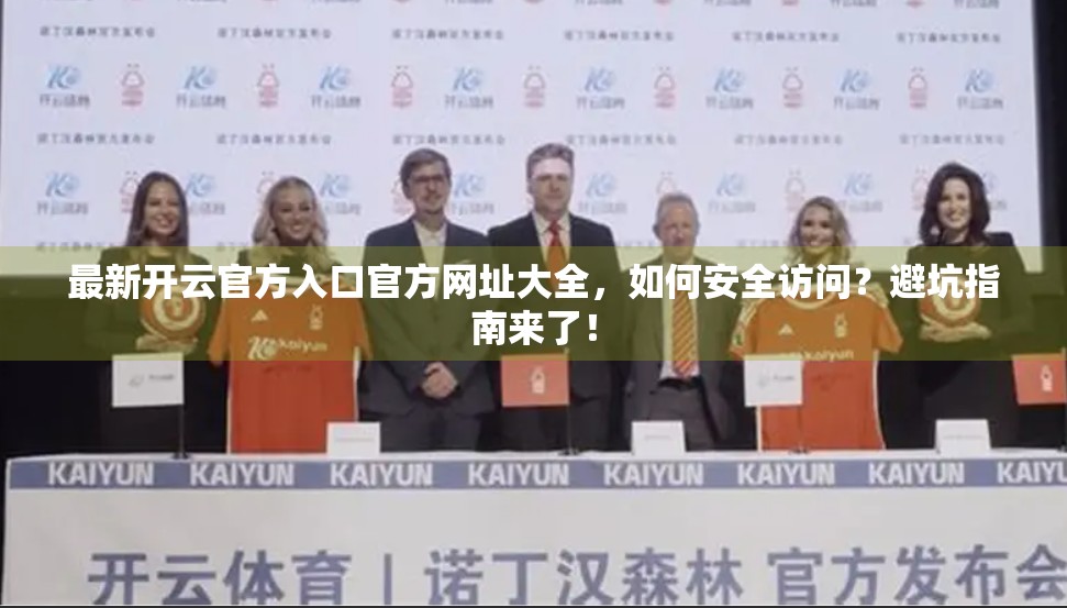 最新开云官方入口官方网址大全，如何安全访问？避坑指南来了！