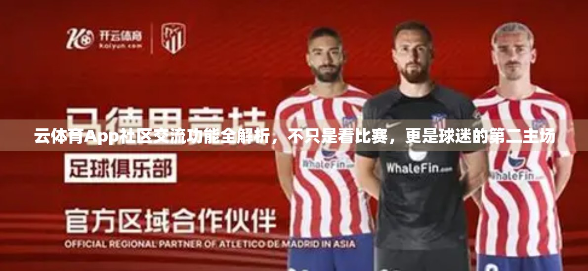 云体育App社区交流功能全解析，不只是看比赛，更是球迷的第二主场
