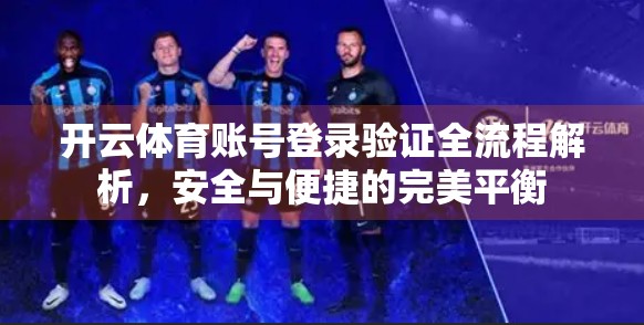 开云体育账号登录验证全流程解析，安全与便捷的完美平衡