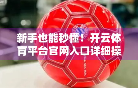 新手也能秒懂！开云体育平台官网入口详细操作步骤全攻略（附避坑指南）
