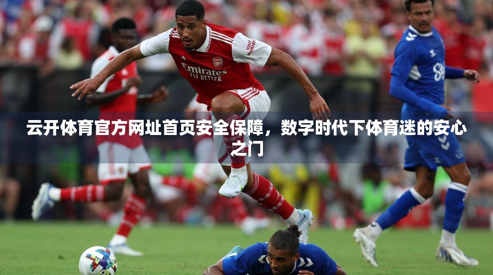 云开体育官方网址首页安全保障，数字时代下体育迷的安心之门