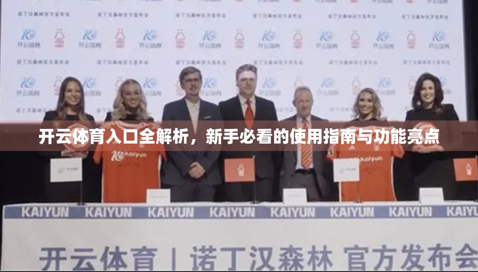 开云体育入口全解析，新手必看的使用指南与功能亮点